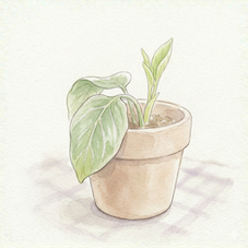 ヴィーガンを失敗しないポイントを説明した画像