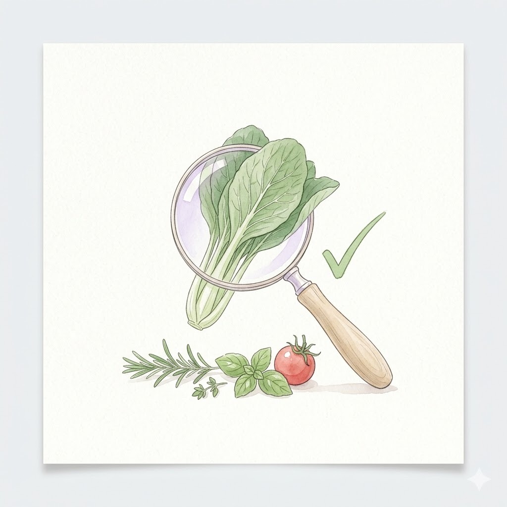 動物性原料の混入リスクを減らす仕組み｜虫眼鏡と葉物野菜と緑のチェックマークを描いた水彩イラスト