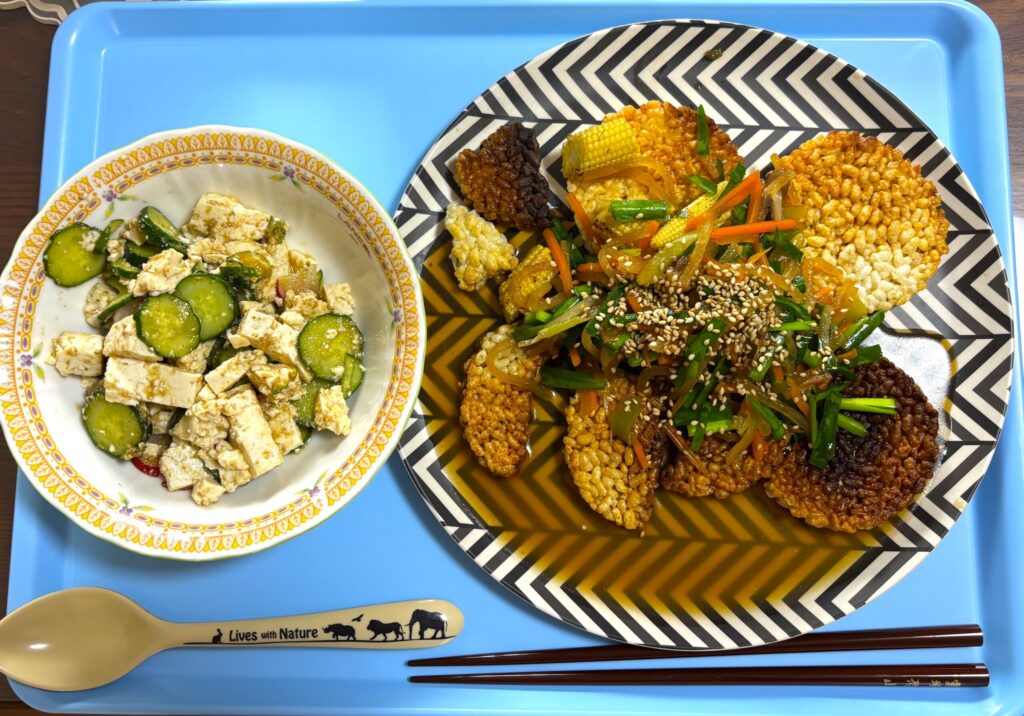 Plant Oisixのミールキットで作った大豆ミートの回鍋肉風と豆腐の和え物の完成皿