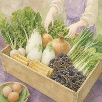 野菜と大豆加工品を中心に、卵を選べる・避けられる形で描いたヴィーガン視点の食材宅配イラスト