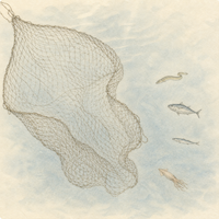 空の漁網と数少ない魚たちの水彩イラスト|世界の水産資源の獲りすぎ問題