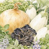 新鮮な野菜と大きな玉ねぎが並ぶみずみずしい水彩イラスト