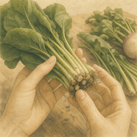 「無農薬」の表示ではなく育ち方で野菜を選ぶことを示す一枚。買ってきた葉物野菜を手に取り、土のついた根元を近くで確かめている手元の水彩画