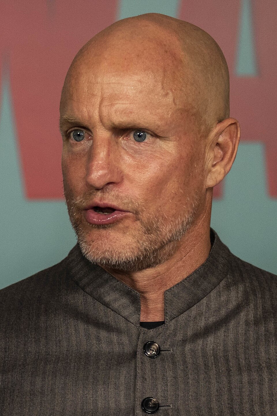 2019年に真珠湾でインタビューを受ける58歳のウディ・ハレルソン